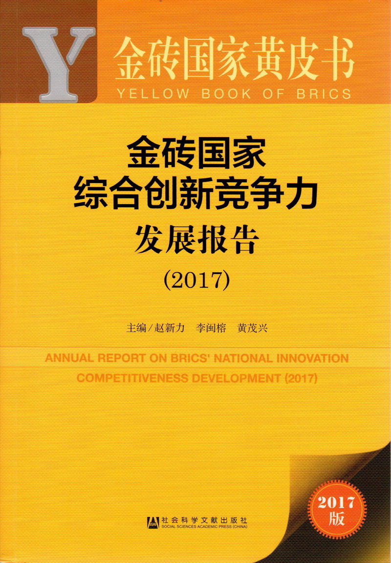 大鸡巴擦入女人屄的视频在线看金砖国家综合创新竞争力发展报告（2017）